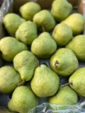 Gruszka 12,5 kg Packham -świeża dostawa
