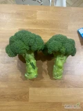 Sprzedam brokuł w pałce lub większy 
