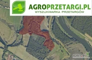 Przetarg na dzierżawę 5,26 ha zbiornika wodnego na czas nieokreślony
