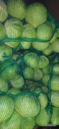 Posiadam na sprzedaż w bardzo dobrej jakości w wyśmienitej cenie kapustę białą w worku 6-7-8 szt/20 kg. Tylko osoby zdecydowane