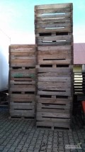 Sprzedam  ok.70 sztuk skrzyniopalet  składanych o podstawie: 80x120 i  wysokości  110cm. Skrzynie suche i zdrowe. Do 100 kilometrów...