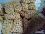 Mam do sprzedania ziemniaki żółte: Melody.
