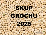 Duże ilości grochu ze żniw 2025! Jednorodne partie minimum 20 t. Po więcej informacji zapraszam do kontaktu telefonicznego.