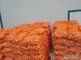 Sprzedam cebulę 4,5-8 pakowaną, lub big bag.