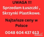 Sprzedam duży asortyment skrzynek ładunki cało samochodowe