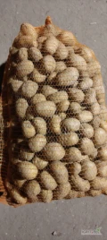 Sprzedam ziemniaki Denar kaliber 35-50. Drugi rok po centrali.
