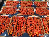 Pomidor 3 kg cherry na gałązce Włochy- świeża dostawa Katowice
