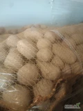 Sprzedam ziemniaki tajfun i vineta workowane po 15kg dostępne około 600workow .14zl worek