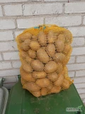Sprzedam ziemniaki soraja 