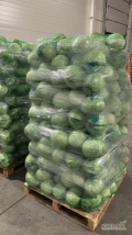 Kupie kapustę biała pakowana worek 25kg 