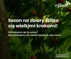 Sezon zbiorów co raz bliżej!
