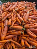 Sprzedam marchew odpadowom luz skrzyniopaleta 50 zl sztuka . Posiadam duze ilosci . Swieże . Wiecej informacjj pod numerem telefonu...