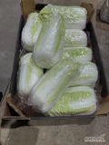 Sprzedam kapustę pekińską ilosci paletowe. Na karton ok 10 szt.