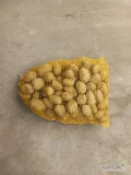 Sprzedam ziemniaki odmiany Lili Soraya pakowane worek lub big bag ostatnie 7 ton