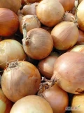 Uwaga ! Sprzedamy hurtowe ilości cebuli kal. 45-80 ( import) obcięta, pakowana w dowolne worki 10/15 kg lub bb i luzem na wannę. 