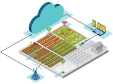 Komunikacyjny blackout na terenach wiejskich ?