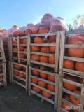 Sprzedam dynie halloween 6-10kg. Pakowane w skrzynie drewniane. Ilości tirowe.