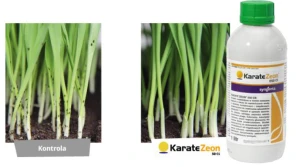 Karate Zeon 050 CS czasowo dopuszczony do stosowania w jęczmieniu ozimym
