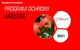 Nasz prezent: Program Ochrony Jabłoni