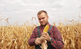 Wnioski o premię dla młodych rolników od 3 czerwca