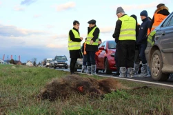 Walka z chorobami z urzędu (w godzinach pracy)