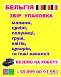 РОБОТА ДЛЯ УКРАЇНЦІВ В БЕЛЬГІЇ
