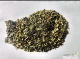 Mięta pieprzowa liść ok 7000kg