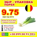РОБОТА ДЛЯ УКРАЇНЦІВ В БЕЛЬГІЇ
