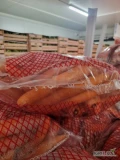 Sprzedam marchew młoda. Opak 10KG. Proszowice. Mam 15 palet. Cena 2.30netto.Krzysiek 660412154.cena do negocjacji.