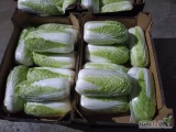 Sprzedam kapustę pekińską 0,6-2 kg  8-9 sztuk w kartonie, ładna,zdrowa w środku. Ilości paletowe. W sprzedaży również cebula...