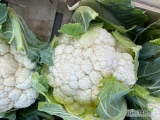 Witam. Sprzedam kalafior 6-8 w dowolnym opakowaniu . Duże ilości 