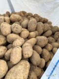 Ziemniaki jadalne melody kal. 45+ bb lub luz duże ilości z jasnej ziemi 