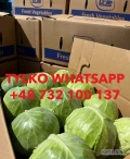 Kup kapustę w hurtowych cenach w Polsce
