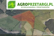 Przetarg na dzierżawę 282,06 ha gruntu rolnego na 10 lat – RIIIa, RIVa, RIVb, RV, RVI, ŁIII, ŁIV, ŁV, ŁVI, PsVI
