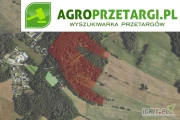Przetarg na dzierżawę 11,57 ha gruntu rolnego na 10 lat – RIVb, RV, RVI, ŁIV, PsIV, Ls, Lz, N
