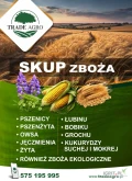 Skup zboża paszowe i konsumpcyjne: pszenica, pszenżyto, owies, jęczmień, żyto oraz kukurydzę suchą i mokrą, bobik, groch, łubin...