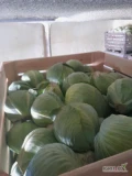 Sprzedam kapusta białą  kaliber 1-4 kg opakowanie  do uzgodnienia 