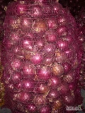 Cebula czerwona -worek 5 kg, Red Tide, kalibrarz 45-85 mm -1,50 zł./kg,
