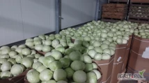Sprzedam kapustę białą kaliber 1-4 opakowanie karton box
