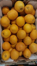 Pomarańcze RPA Navel / Valencia II klasa 
