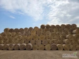 Sprzedam tegoroczną słomę w belach 160. Bele dobrze zbite, ok. 400kg wagi.
