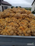 Sprzedam ziemniaki paszowe pakowane w wieku 15 kg.ilosc około 4 tony.