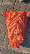Sprzedam marchew na brudno z jasnej ziemi kaliber 2,5-5 , worek 10 kg sypany ilości tirowe 