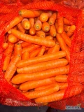 Sprzedam marchew, jakość marketowa, kaliber 20-40mm, worek 10 kg, import. 
