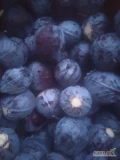 Sprzedam kapustę czerwona 1-3kg 

