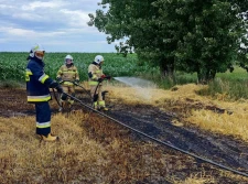 Znów płonie zboże na pniu - ZDJĘCIA