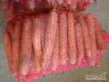 Sprzedam marchew na brudno worek 10 kg 