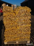Sprzedam ziemniaki żółte Kaliber 5+. Ilości tir i mniejsze, opakowanie worek szyty bądź luz 