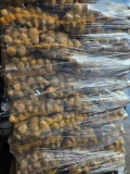 Sprzedam ziemniaki  odmiany Ignacy 240 worków  