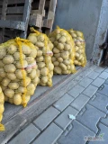 Sprzedam ziemniaki 5,5+ kopane ponad miesiąc temu, po sortowniku. Około 400-500 worków. Możliwość ułożenia na palecie.